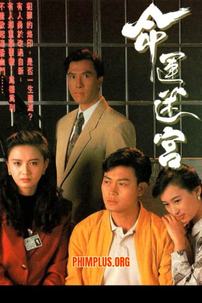 Vận Mệnh Mê Cung