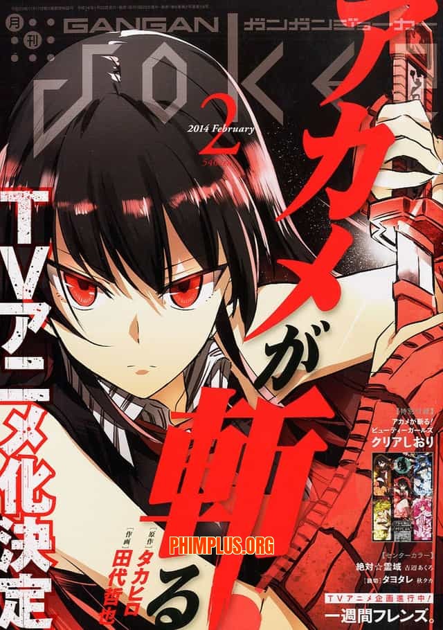 Akame ga Kill!