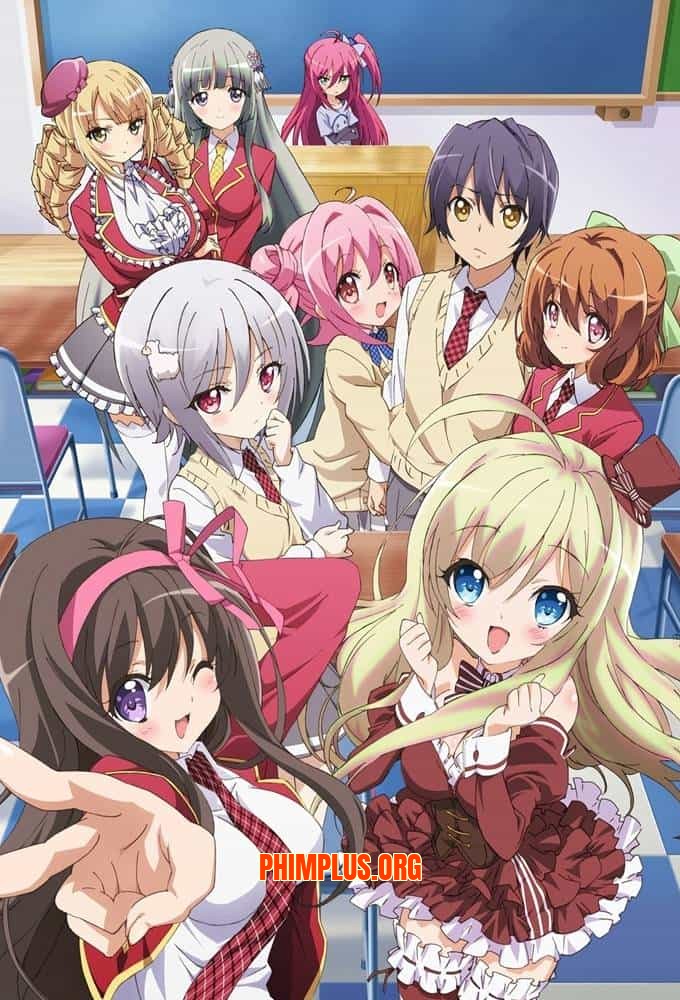 NouCome