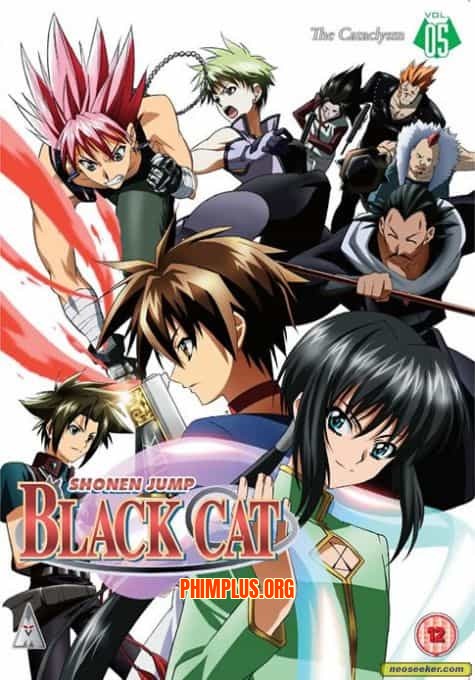 Black Cat