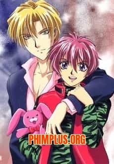 Gravitation