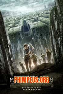 Giải Mã Mê Cung