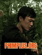 Mắt Công