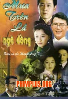 Mưa Trên Lá Ngô Đồng