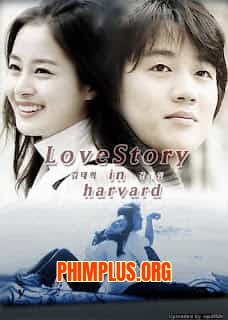 Chuyện Tình Harvard