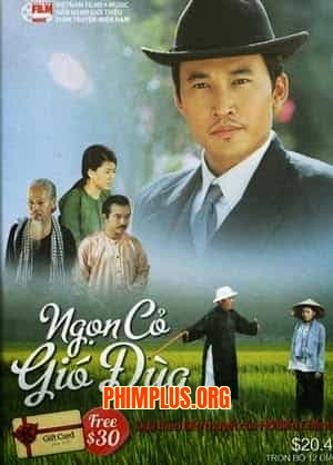 Ngọn Cỏ Gió Đùa