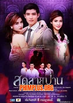 Bi Tình Song Sinh