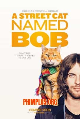 Chú Mèo Đường Phố Tên Bob