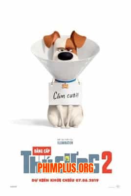 Đẳng Cấp Thú Cưng 2