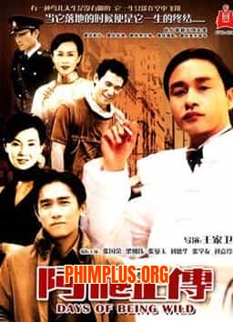 A PHI CHÍNH TRUYỆN