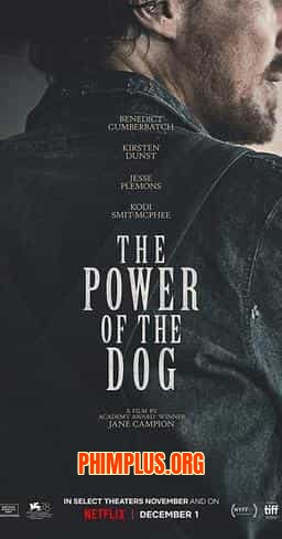 THE POWER OF THE DOG