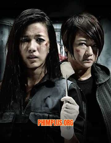 Truy Tìm Manh Mối