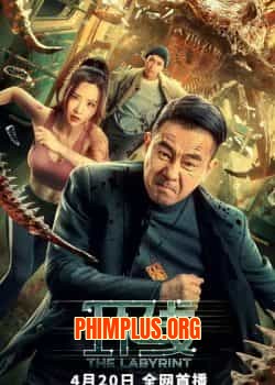 Vòng Lặp