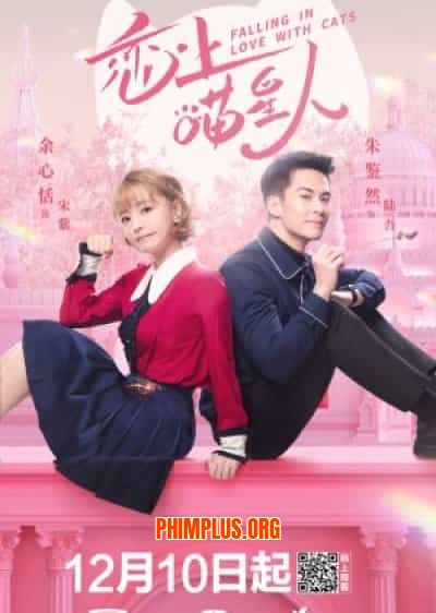 Yêu Phải Nàng Meo Tinh