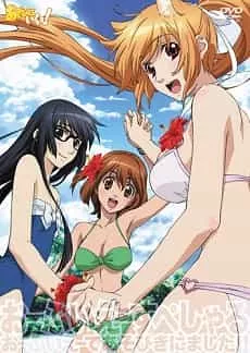 Asobi ni Iku yo! Asobi ni Oide