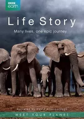 Câu Chuyện Sinh Tồn