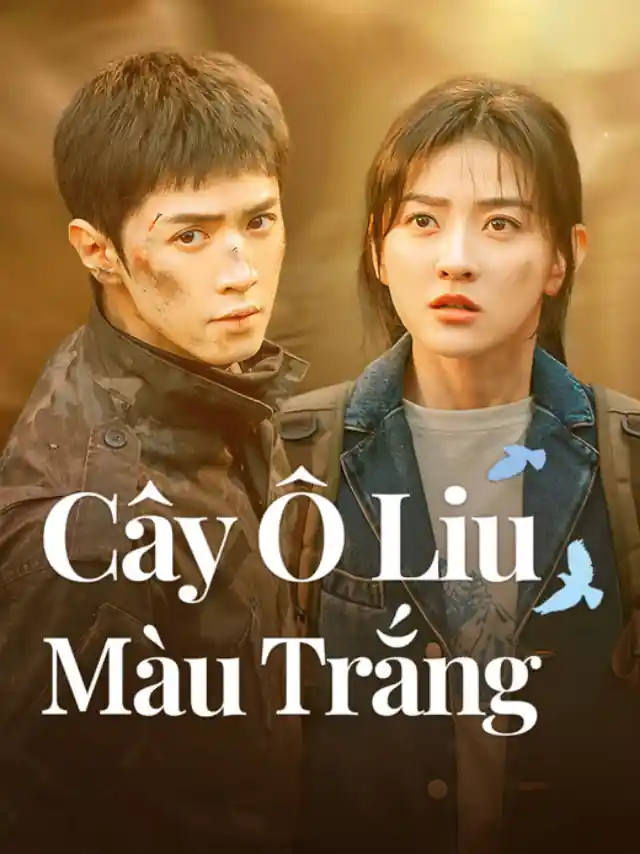 Poster phim Cây Ô Liu Màu Trắng IQIYI Thuyết Minh