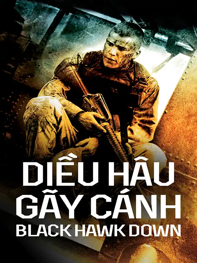 Diều Hâu Gãy Cánh TVH Thuyết Minh
