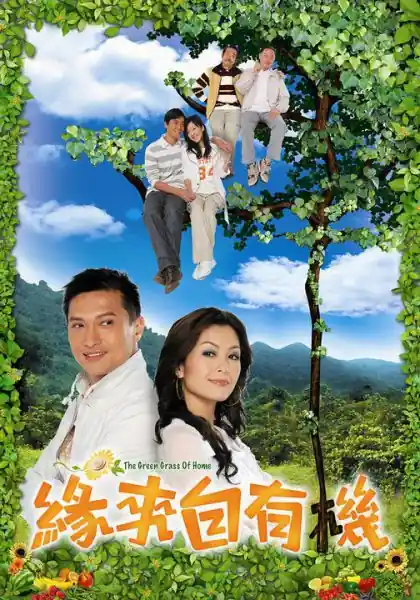 Poster phim Duyên Tình Trên Mảnh Vườn Xanh