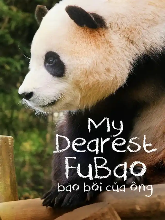 Fubao: Bảo Bối Của Ông Lồng Tiếng