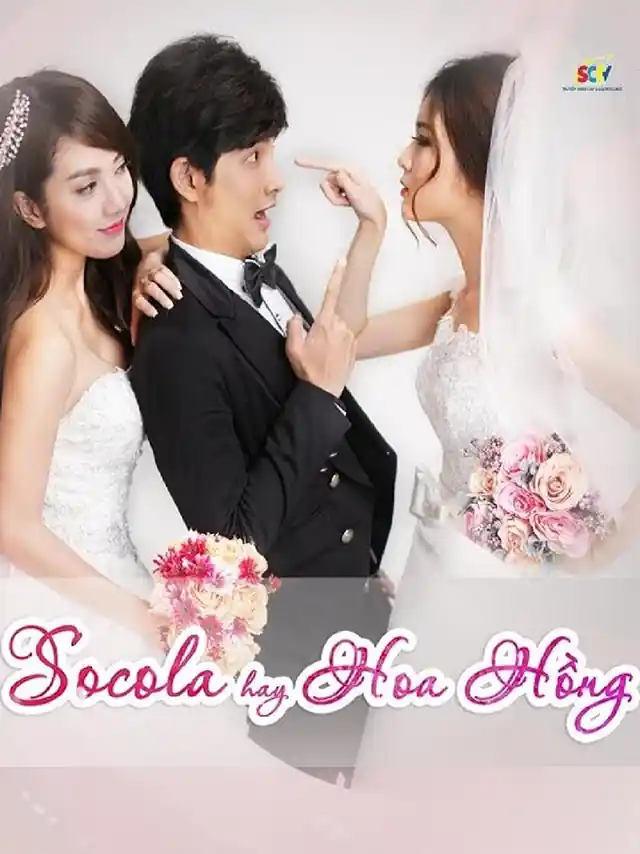 Socola Hay Hoa Hồng SCTV Tiếng Việt