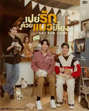 Đổi Tình Lấy Mèo