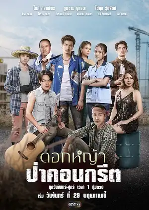 Hoa Dại Giữa Thành Phố