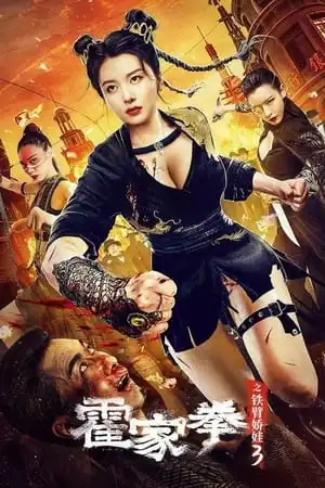 Poster phim Hoắc Gia Quyền Mỹ Nữ Tay Sắt 3