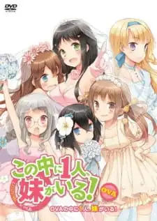 Kono Naka Ni Hitori, Imouto Ga Iru!: Ani, Imouto, Koibito