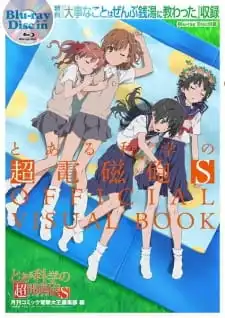 Poster phim Toaru Kagaku No Railgun S: Daiji Na Koto Wa Zenbu Sentou Ni Osowatta