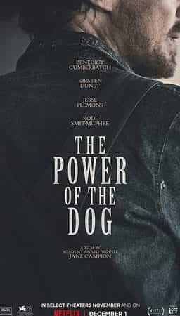 THE POWER OF THE DOG